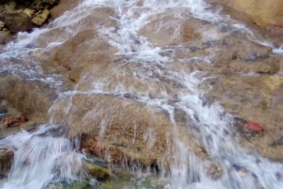 Little Dunn  Little Dunn's Falls Half-Day Tour from Montego Bay & Trelawny