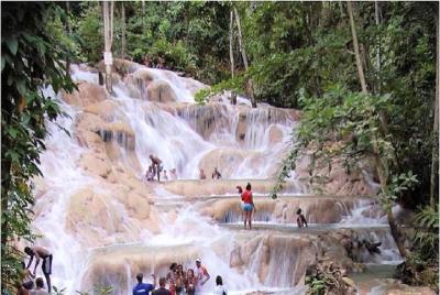 Montego Bay to Dunn's River Falls Half-Day Trip