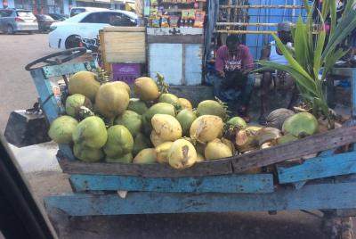 Negril Country Side Tour & Rick Negril Country Side Tour & Rick's Cafe