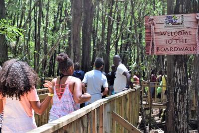 Flora and Fauna of Jamaica Safari from Negril Flora and Fauna of Jamaica Safari from Negril