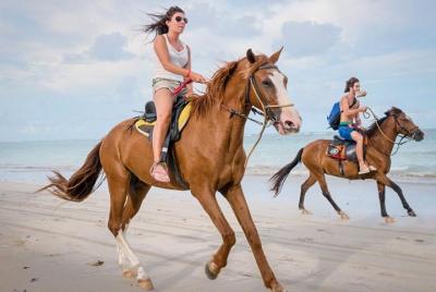Horse ride in Agadir  Horse ride in Agadir