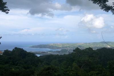 Rock-land Hummingbird Sanctuary Rock-land Hummingbird Sanctuary