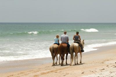 Small-Group Reggae Horseback Riding in Negril  Small-Group Reggae Horseback Riding in Negril