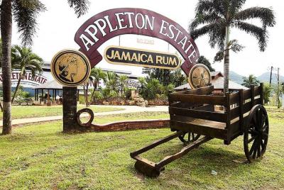 Appleton and Y.S Falls Tour from Negril Hotels