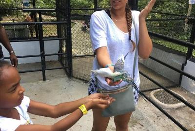 Konoko Garden & Mohoe Falls