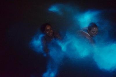 Private Luminous lagoon tour from Ocho Rios or runaway bay