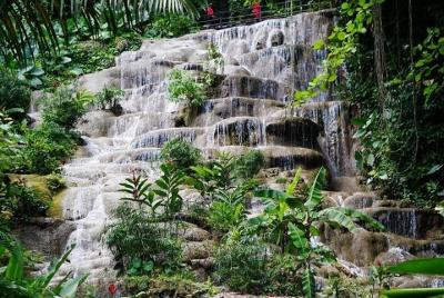 Konoko Falls and Garden Tour from Port Anotonio