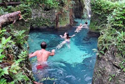 Reach Falls Adventure Tour from Port Antonio