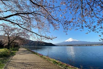 Mount Fuji Majestic Views Bike Tour on Two Lakeshores Mount Fuji Majestic Views Bike Tour on Two Lakeshores