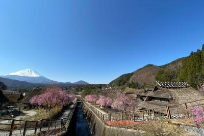 Fabulous Mount Fuji Views Bike Tour with Traditional Japanese Arts Village Visit Fabulous Mount Fuji Views Bike Tour with Traditional Japanese Arts Village Visit