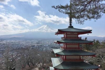 Exciting Mt,Fuji - One Day Tour from Tokyo Exciting Mt,Fuji - One Day Tour from Tokyo