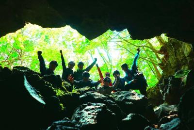 Explore Mt. Fuji Ice Cave in Aokigahara Forest Explore Mt. Fuji Ice Cave in Aokigahara Forest