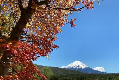 Mt Fuji and lakeside views easy bike tour with visit to traditional arts village Mt Fuji and lakeside views easy bike tour with visit to traditional arts village