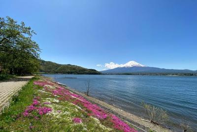 Must-See Fuji Views Half-Day Tour By Car at Lake Kawaguchi & Mt Fuji 5th Station Must-See Fuji Views Half-Day Tour By Car at Lake Kawaguchi & Mt Fuji 5th Station