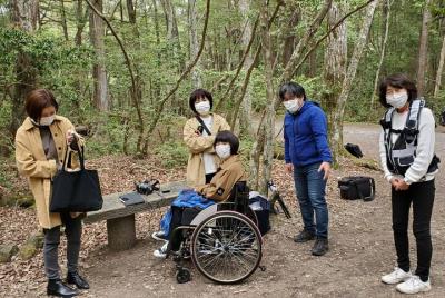 Wheelchair Private Exploration with Drone in Aokigahara  Wheelchair Private Exploration with Drone in Aokigahara