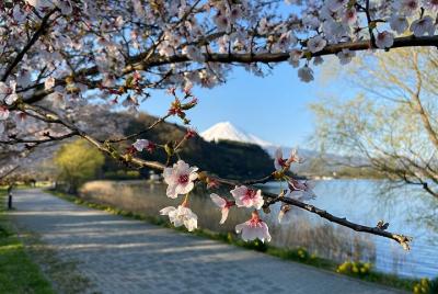 Mt Fuji incredible vistas bike tour with traditional village and waterfall visit Mt Fuji incredible vistas bike tour with traditional village and waterfall visit