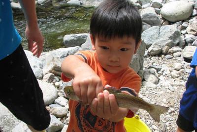 Experience catching river fish Experience catching river fish