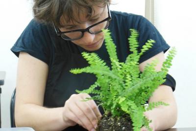 Moss Bonsai Experience! Moss Ball Creation Workshop in Hiroshima 