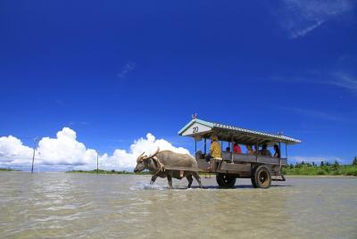 Iriomote Island Half-Day Private Tour with Government-Licensed Guide Iriomote Island Half-Day Private Tour with Government-Licensed Guide