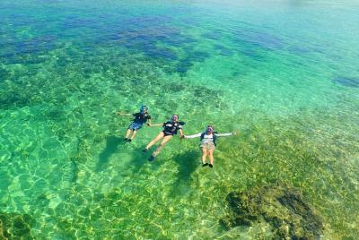 [Okinawa Iriomote] Snorkeling Tour at Hoshisuna-Beach
