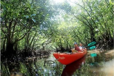 [Okinawa Iriomote Island] Easy experience in half a day Mangrove kayaking tour [Kayaking]