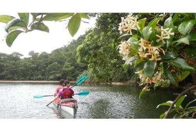 [Okinawa Iriomote Island Nakara River] Enjoy waterfalls Nara Falls 1 day tour [kayak trekking]