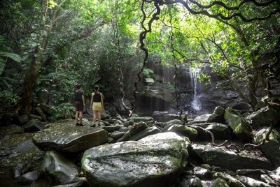 [Okinawa Iriomote] Let's aim for the 