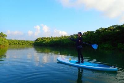 [Ishigaki]SUP/Canoe tour at Natural-Monument-Mangrove-Forest in I