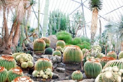 Izu Shaboten Park Admission Ticket