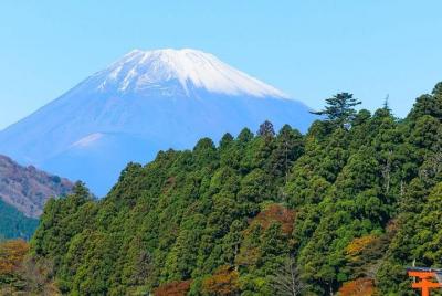 Sightseeingss in Izumisano Things to do in Izumisano 190412