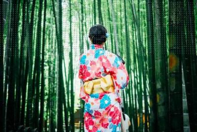 Kimono Dress Experience in Kamakura with Door to Door Pick Up fro Kimono Dress Experience in Kamakura with Door to Door Pick Up fro