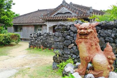 Ishigaki Island Full-Day Private Tour with Government-Licensed Gu