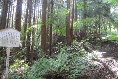 Old Nakasendo trekking from Karuizawa-Beyond Sugahi Pass to Sakamoto Hotel- Old Nakasendo trekking from Karuizawa-Beyond Sugahi Pass to Sakamoto Hotel-