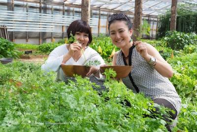 -Taste the seasonal taste of Karuizawa-Karuizawa gourmet farm pottering -Taste the seasonal taste of Karuizawa-Karuizawa gourmet farm pottering