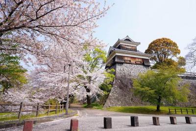 Kumamoto Custom Half Day Tour Kumamoto Custom Half Day Tour