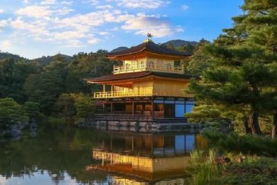 Kyoto and Nara 1 Day Bus Tour