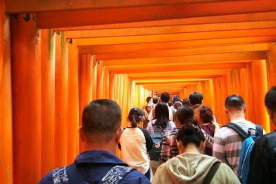 (Early Bird) Fushimi Inari & Nara Highlights Tour