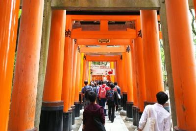 (Day Time) Fushimi Inari & Nara Highlights Tour