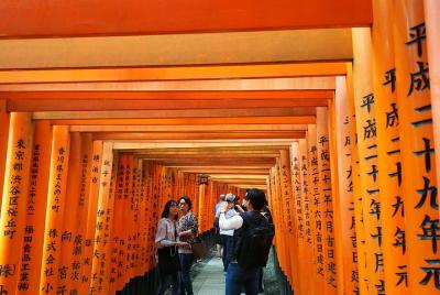 Kyoto Splendid Early-Morning Tour Kyoto Splendid Early-Morning Tour