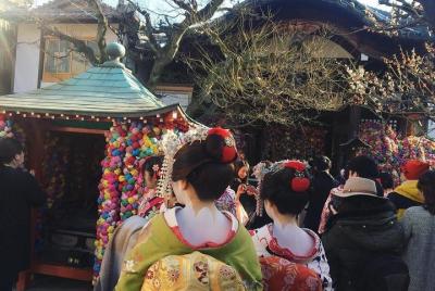 Easy Pacing Kyoto Half Day Tour