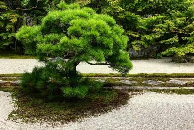 Kyoto: Zen Garden, Zen Mind (Small Group)