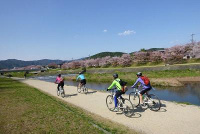 Kyoto Small-Group or Private Bike Tour Kyoto Small-Group or Private Bike Tour