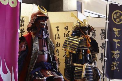 Guided Tour + Samurai & Ninja Experience 