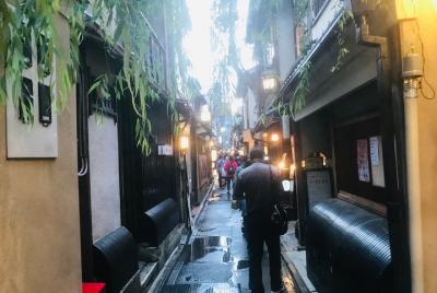 One day landing type sightseeing around Kyoto's two major tourist