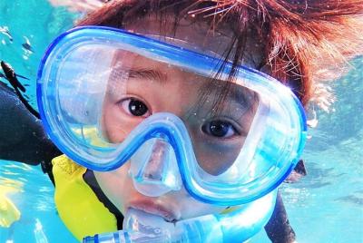 Charter Snorkeling (near Churaumi Aquarium) Free photo gift Charter Snorkeling (near Churaumi Aquarium) Free photo gift