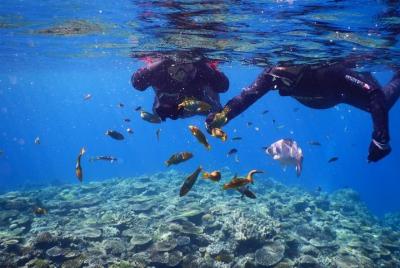 【OKINAWA / Minna Island / Sesoko Island】 Boat Snorkeling Course (1site) for only one group in the afternoon
Free photography!! 【OKINAWA / Minna Island / Sesoko Island】 Boat Snorkeling Course (1site) for only one group in the afternoon
Free photography!!