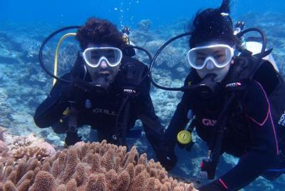 【OKINAWA / Motobu area】 Beach Diving for Certified Divers (2Dives)  【OKINAWA / Motobu area】 Beach Diving for Certified Divers (2Dives)