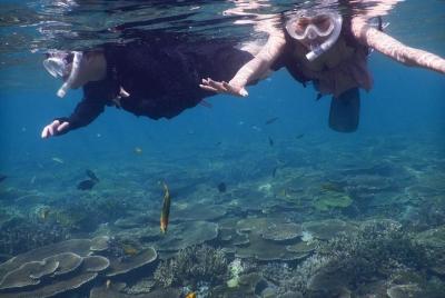 【Okinawa / Motobu Area / Nakijin Area 】Snorkel+Stand-Up Paddling 【Okinawa / Motobu Area / Nakijin Area 】Snorkel+Stand-Up Paddling