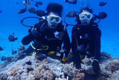 【OKINAWA / Minna Island / Sesoko Island】 Boat Diving for non-Certified Divers (1Dive) for only one group in the afternoon 【OKINAWA / Minna Island / Sesoko Island】 Boat Diving for non-Certified Divers (1Dive) for only one group in the afternoon
