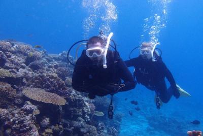 【OKINAWA / Minna Island / Sesoko Island / Manza area】 Boat FUN Diving for Certified Divers (2Dives) for only one group in the morning and the afternoon  【OKINAWA / Minna Island / Sesoko Island / Manza area】 Boat FUN Diving for Certified Divers (2Dives) for only one group in the morning and the afternoon